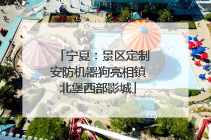 宁夏：景区定制安防机器狗亮相镇北堡西部影城