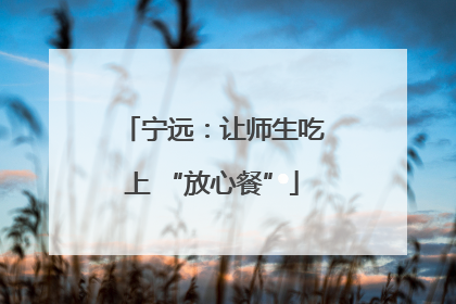 宁远：让师生吃上 “放心餐”