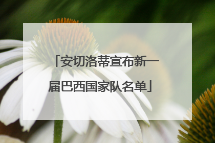 安切洛蒂宣布新一届巴西国家队名单