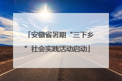 安徽省暑期“三下乡”社会实践活动启动
