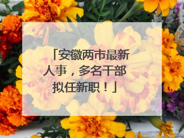 安徽两市最新人事，多名干部拟任新职！