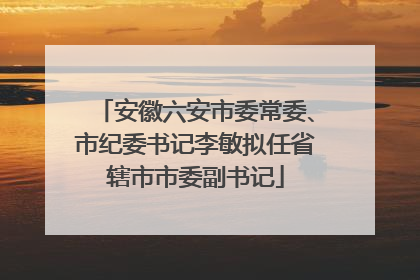 安徽六安市委常委、市纪委书记李敏拟任省辖市市委副书记