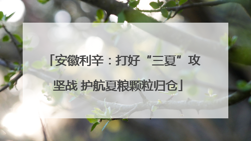 安徽利辛：打好“三夏”攻坚战 护航夏粮颗粒归仓