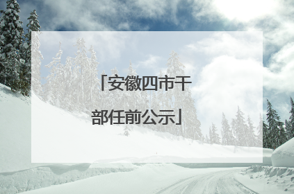 安徽四市干部任前公示