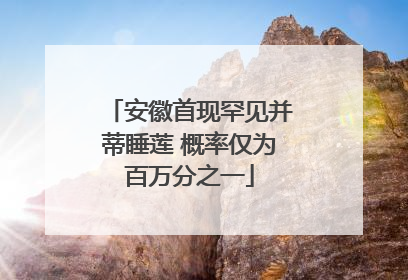 安徽首现罕见并蒂睡莲 概率仅为百万分之一
