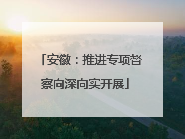 安徽：推进专项督察向深向实开展