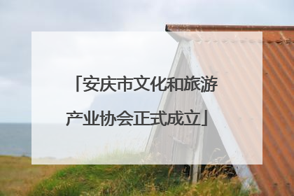 安庆市文化和旅游产业协会正式成立