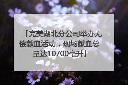 完美湖北分公司举办无偿献血活动，现场献血总量达10700毫升