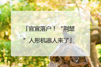 官宣落户！“荆楚”人形机器人来了