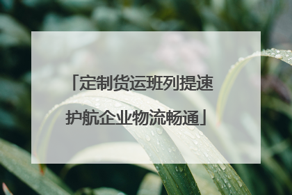 定制货运班列提速 护航企业物流畅通