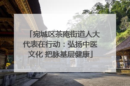 宛城区茶庵街道人大代表在行动：弘扬中医文化 把脉基层健康