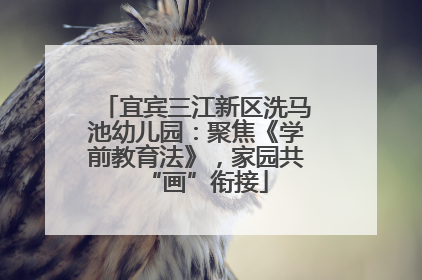 宜宾三江新区洗马池幼儿园：聚焦《学前教育法》，家园共“画”衔接