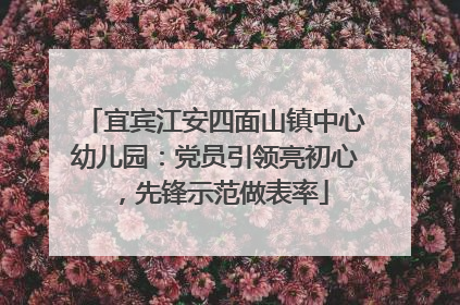 宜宾江安四面山镇中心幼儿园：党员引领亮初心，先锋示范做表率