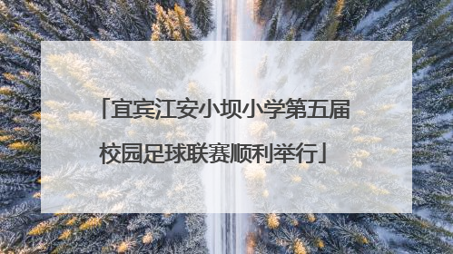宜宾江安小坝小学第五届校园足球联赛顺利举行