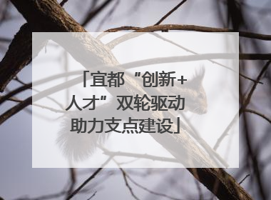宜都“创新+人才”双轮驱动助力支点建设