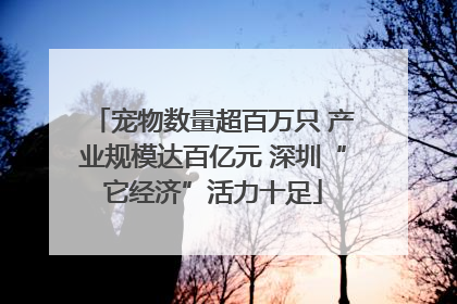 宠物数量超百万只 产业规模达百亿元 深圳“它经济”活力十足