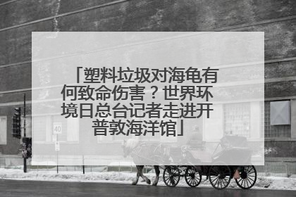 塑料垃圾对海龟有何致命伤害？世界环境日总台记者走进开普敦海洋馆