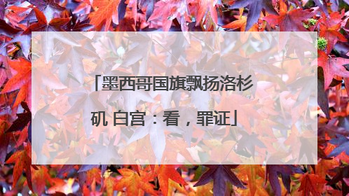 墨西哥国旗飘扬洛杉矶 白宫：看，罪证