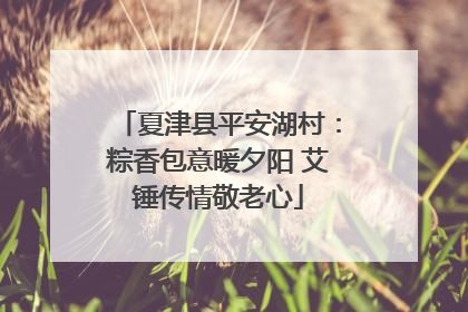 夏津县平安湖村：粽香包意暖夕阳 艾锤传情敬老心