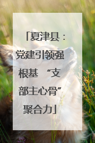 夏津县：党建引领强根基 “支部主心骨”聚合力