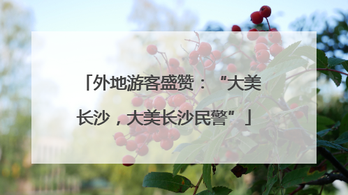 外地游客盛赞：“大美长沙，大美长沙民警”