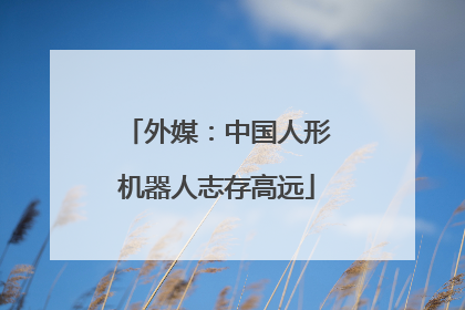 外媒：中国人形机器人志存高远