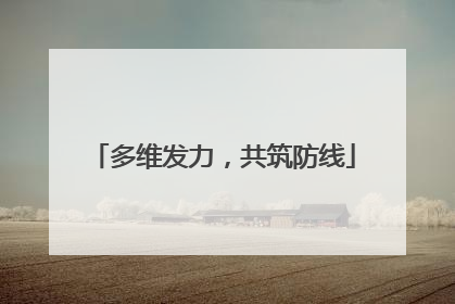 多维发力，共筑防线