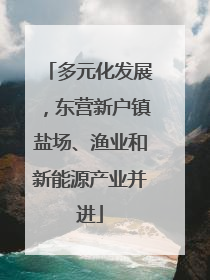 多元化发展，东营新户镇盐场、渔业和新能源产业并进