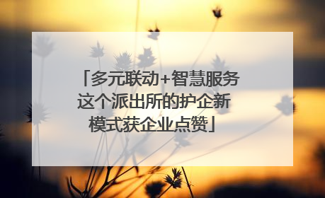 多元联动+智慧服务 这个派出所的护企新模式获企业点赞