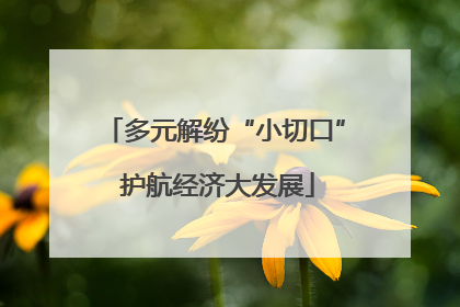 多元解纷“小切口” 护航经济大发展