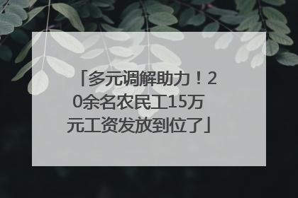 多元调解助力！20余名农民工15万元工资发放到位了