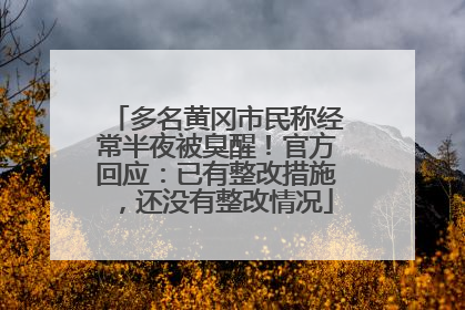 多名黄冈市民称经常半夜被臭醒！官方回应：已有整改措施，还没有整改情况