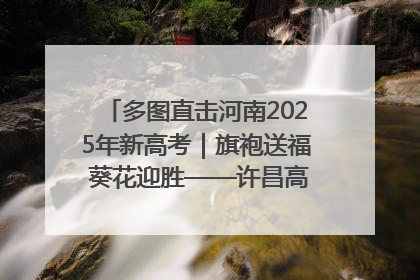 多图直击河南2025年新高考｜旗袍送福 葵花迎胜——许昌高考首日拉开帷幕