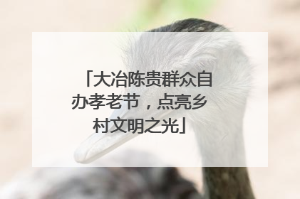 大冶陈贵群众自办孝老节，点亮乡村文明之光