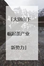 大别山下崛起茶产业新势力