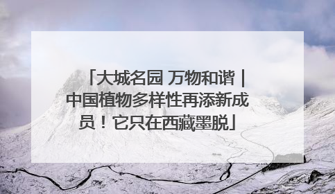 大城名园 万物和谐｜中国植物多样性再添新成员！它只在西藏墨脱