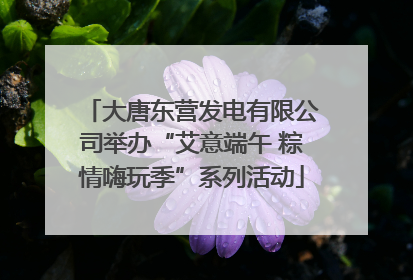 大唐东营发电有限公司举办“艾意端午 粽情嗨玩季”系列活动