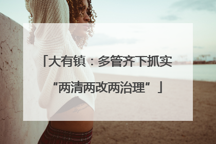 大有镇：多管齐下抓实“两清两改两治理”