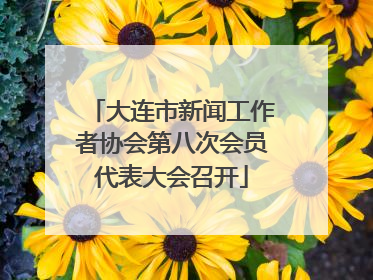 大连市新闻工作者协会第八次会员代表大会召开