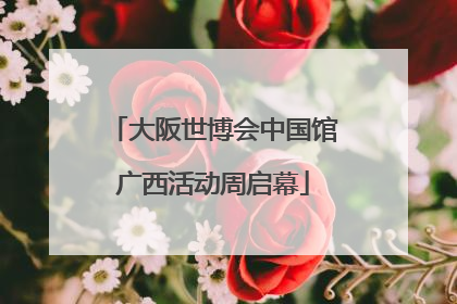 大阪世博会中国馆广西活动周启幕