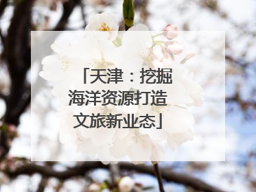 天津：挖掘海洋资源打造文旅新业态