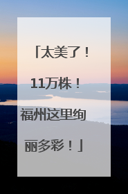 太美了！11万株！福州这里绚丽多彩！