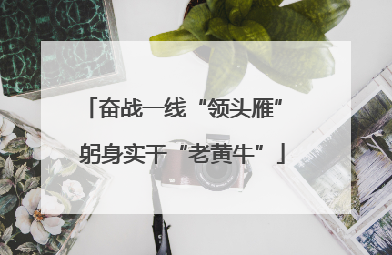 奋战一线“领头雁” 躬身实干“老黄牛”
