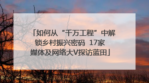 如何从“千万工程”中解锁乡村振兴密码  17家媒体及网络大V探访蓝田