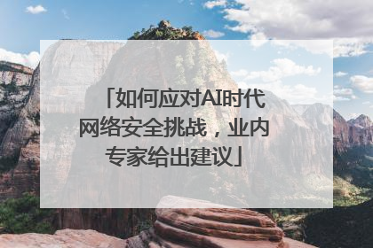 如何应对AI时代网络安全挑战，业内专家给出建议