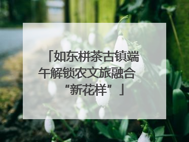 如东栟茶古镇端午解锁农文旅融合“新花样”