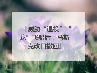 威胁“退役”“龙”飞船后，马斯克改口撤回
