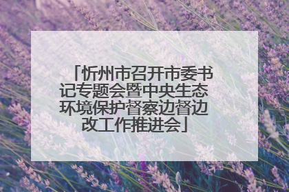 忻州市召开市委书记专题会暨中央生态环境保护督察边督边改工作推进会