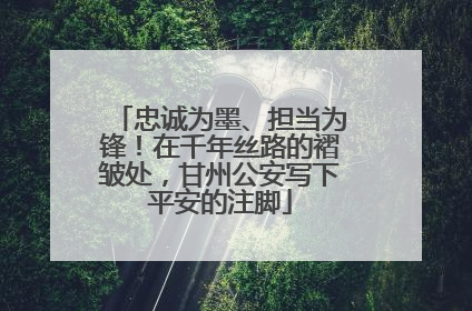 忠诚为墨、担当为锋！在千年丝路的褶皱处，甘州公安写下平安的注脚