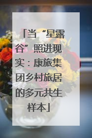 当“星露谷”照进现实：康旅集团乡村旅居的多元共生样本
